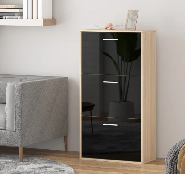 Black Shoe Rack for Hallway and Bedroom